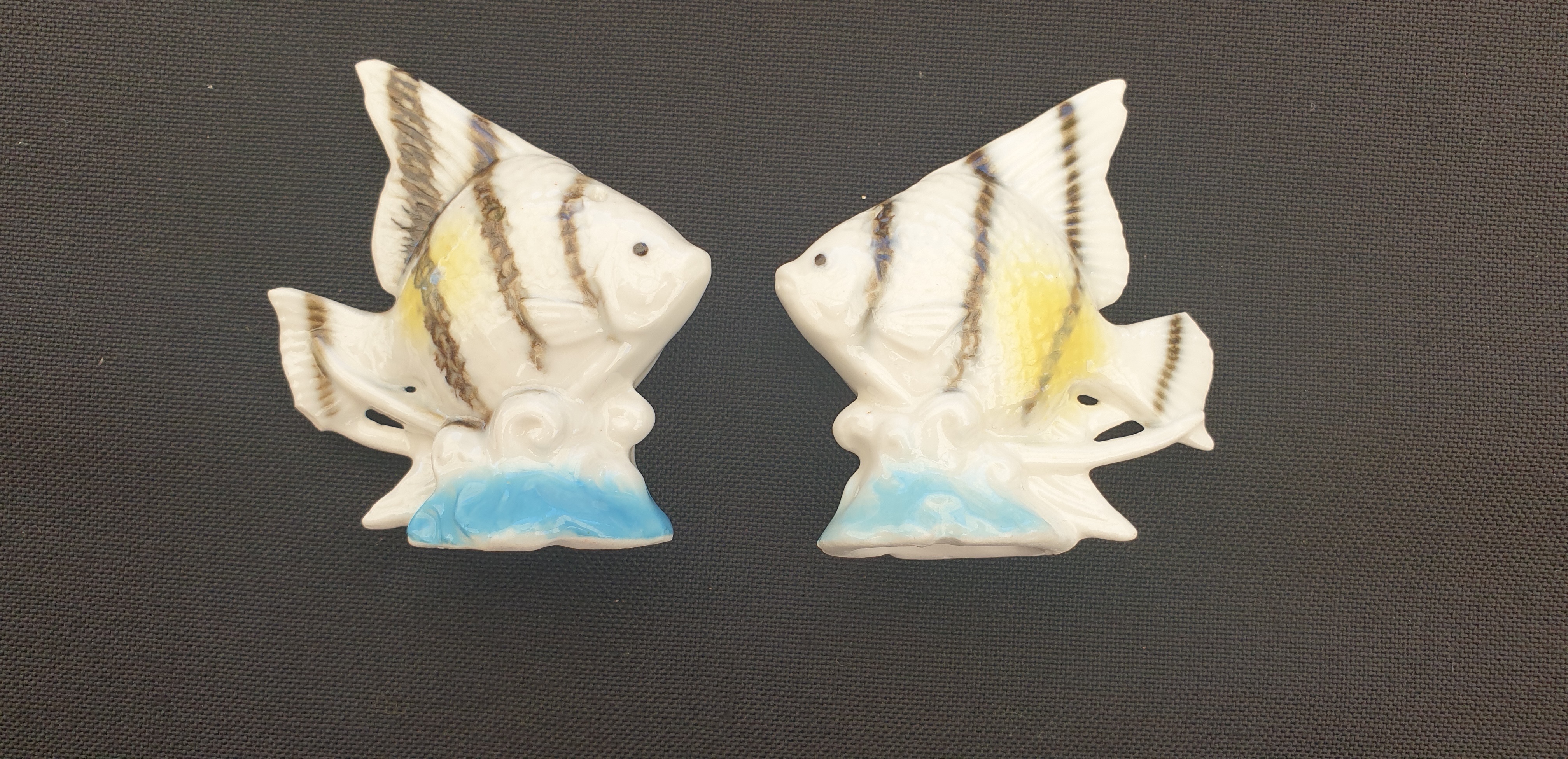 tropical fish salt and pepper